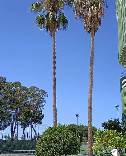 Tower 1106 * Portimão